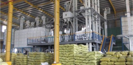 RICE TRADING